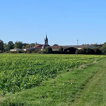 Maison De Charme Renovee Proche Verdun, Ideal Randos, 3 Ch, Jardin, Terrasse, Cuisine Equipee - Fr-1-585-48 Gospodarstwo wiejskie *
