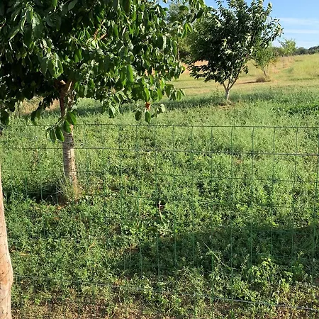 Maison De Charme Renovee Proche Verdun, Ideal Randos, 3 Ch, Jardin, Terrasse, Cuisine Equipee - Fr-1-585-48