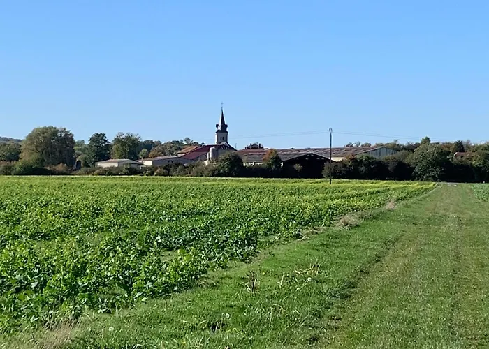 Maison De Charme Renovee Proche Verdun, Ideal Randos, 3 Ch, Jardin, Terrasse, Cuisine Equipee - Fr-1-585-48 Holiday home *