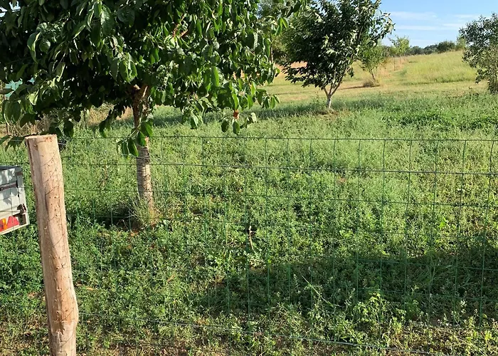 Maison De Charme Renovee Proche Verdun, Ideal Randos, 3 Ch, Jardin, Terrasse, Cuisine Equipee - Fr-1-585-48